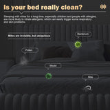 Dust Vacuum Cleaner and Bed Iron - 50% OFF Today Only