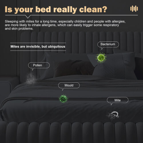 Dust Vacuum Cleaner and Bed Iron - 50% OFF Today Only