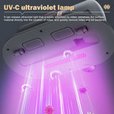 Dust Vacuum Cleaner and Bed Iron - 50% OFF Today Only